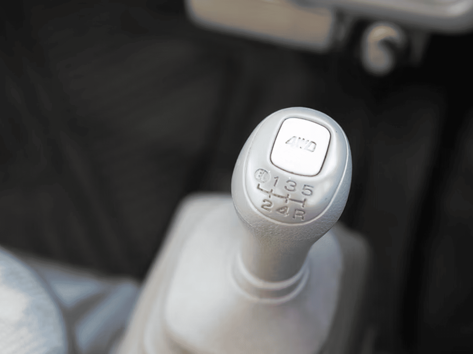 Interior preview