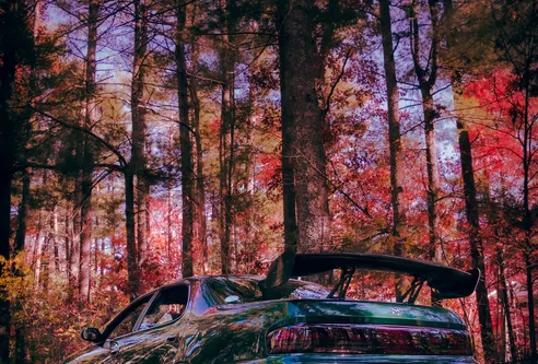 Gallery thumbnail